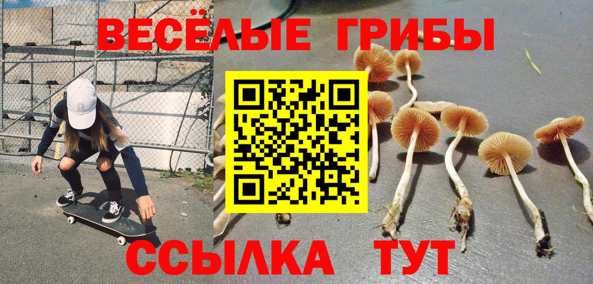 купить наркотики цена  Вход с VPN  Сухой Лог  Галлюциногенные грибы ЛСД  Псилоцибиновые грибы Cubensis 